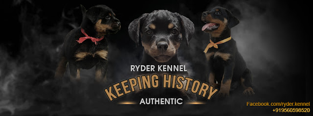 RYDER KENNEL – Keeping History AUTHENTIC