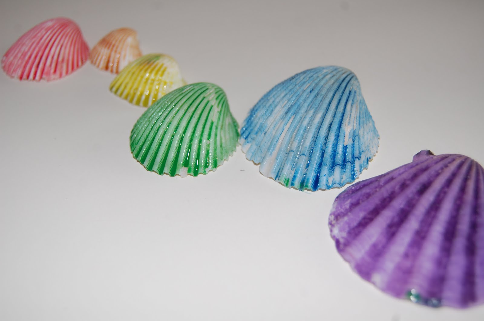 Our Creative Day Rainbow Shells