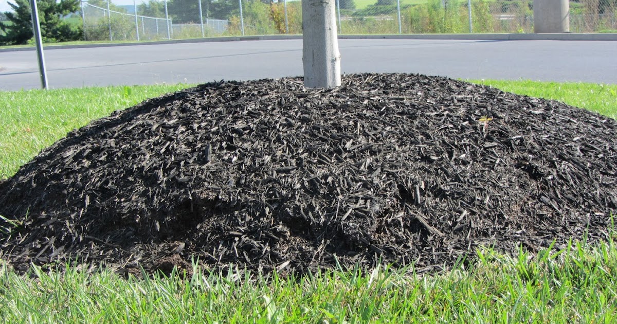 Central Pennsylvania Forestry Mulch Volcanoes Are Erupting Everywhere!