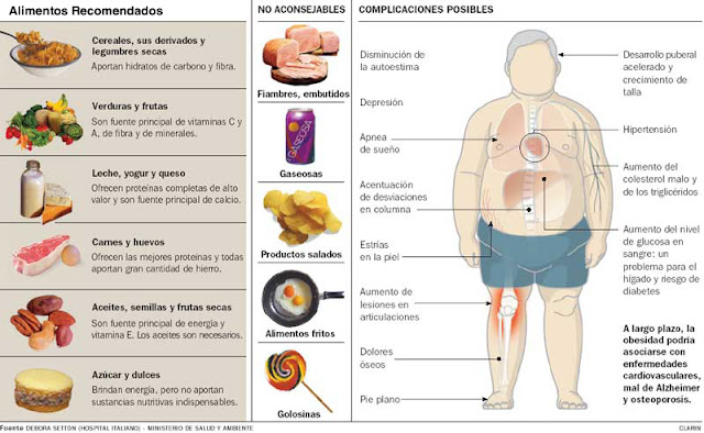 Obesidad y Sobrepeso : Alimentación en el sobrepeso y la obesidad.