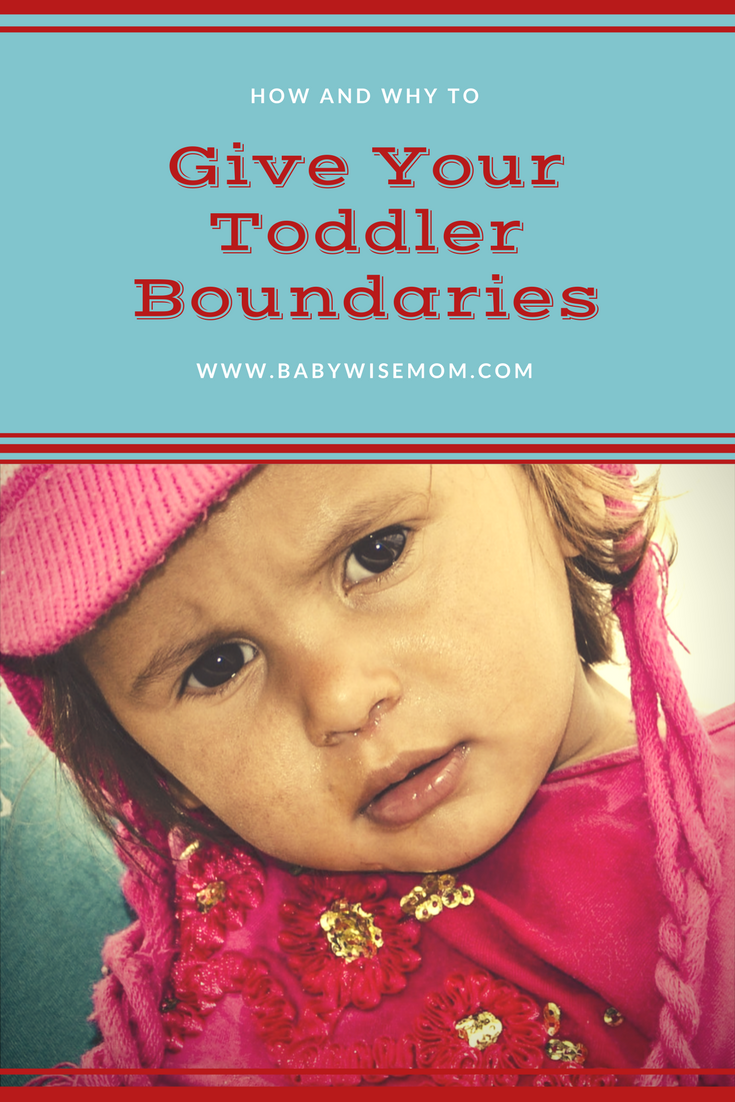 How to Give Your Toddler Boundaries Chronicles of a Babywise Mom