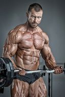 Muscle In Action, Beauty of Muscular Bodies