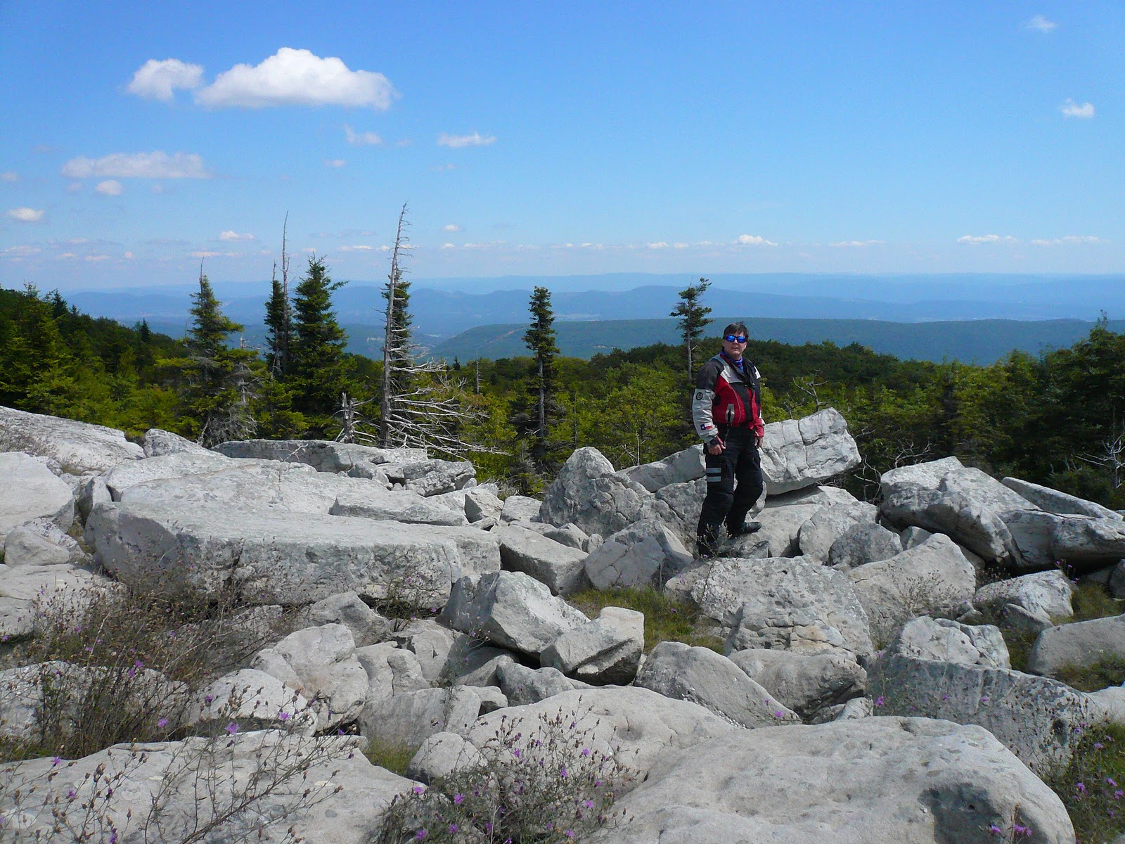 Fleeter Logs 148i Dolly Sods