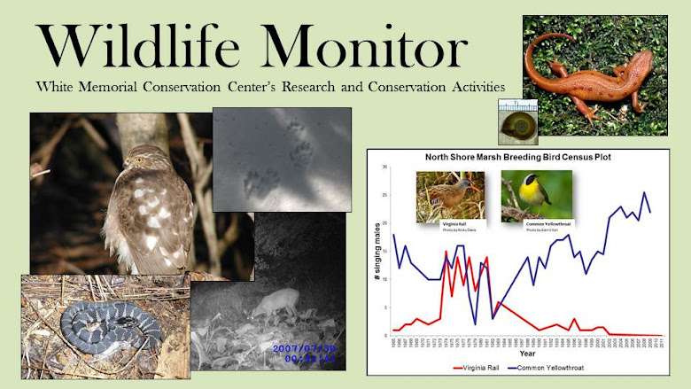 Wildlife Monitor