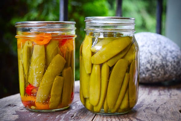 Cómo cultivar y conservar guisantes caseros 2021 Cómo cultivar y conservar guisantes caseros
