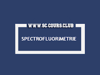 cours management s1 pdf gratuit