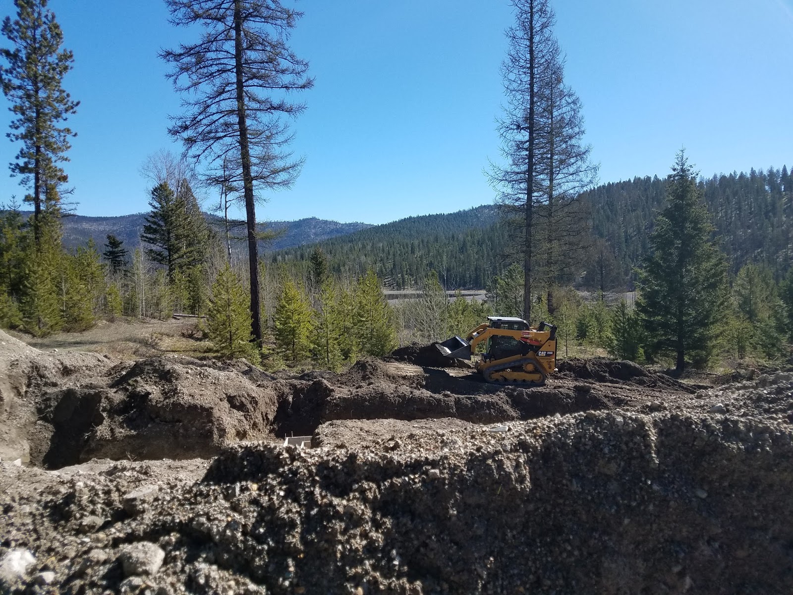 Letting Go of the Bay Leaf The Dream is Taking Shape before Our Eyes