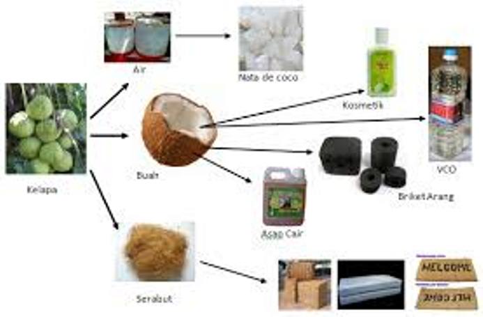 Vco Group Virgin Coconut Oil Cara Membuat Vco Dengan Model Fermentasi