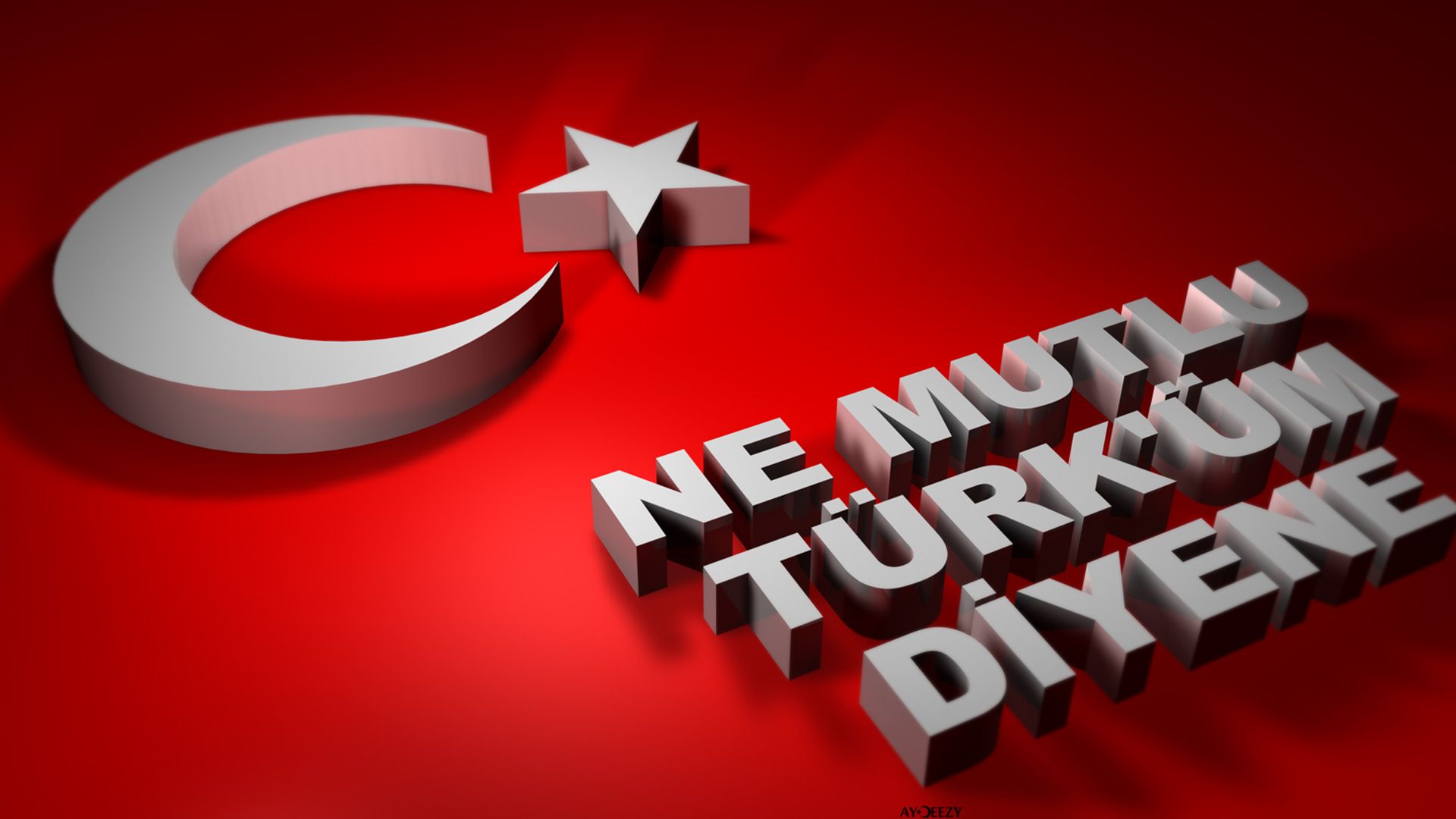 Turk bayragi resimi 9