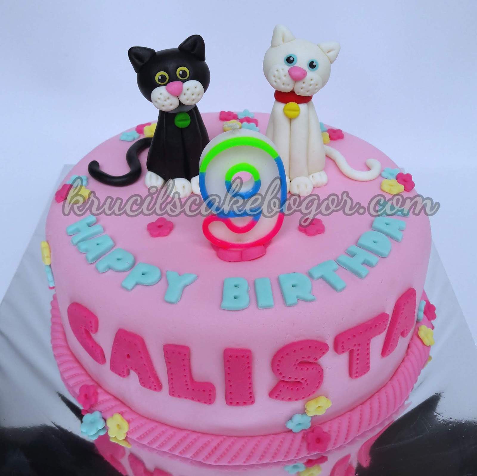 Foto Kue Ulang Tahun Gambar Kucing 81021+ Nama Untuk Kucing Comel