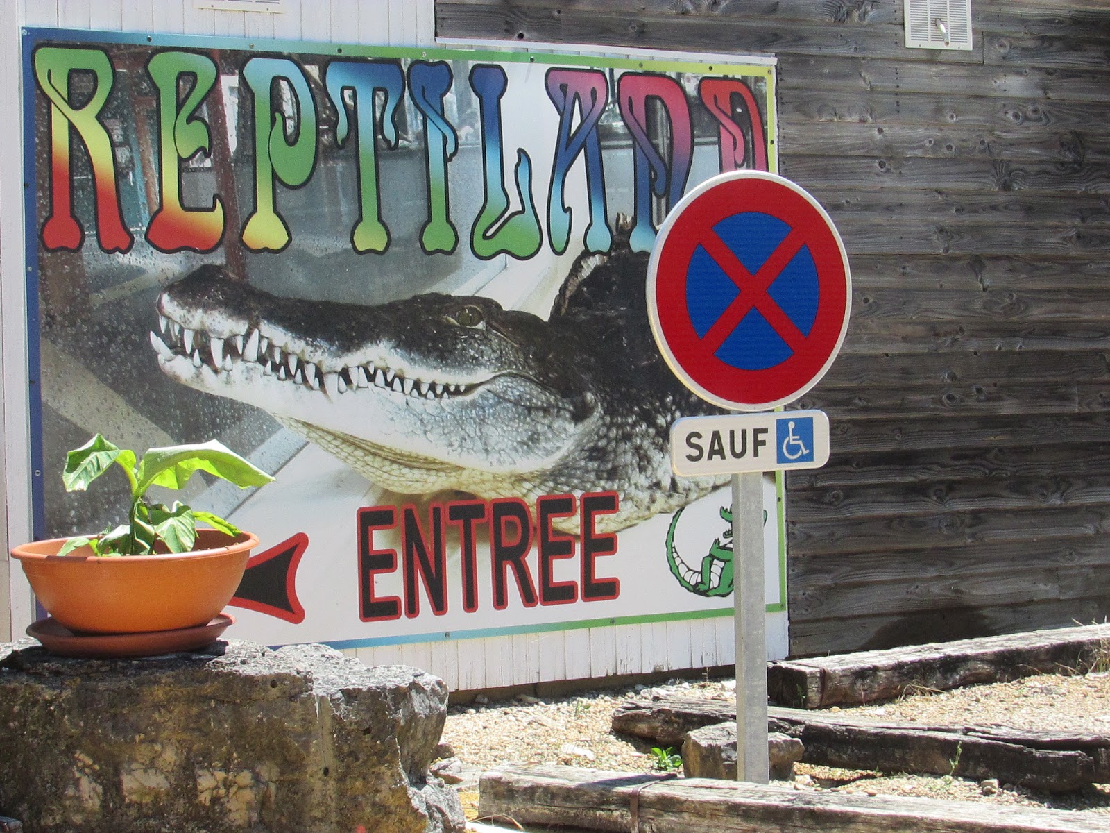 Viens découvrir où je vis 9 Visite chez Reptiland