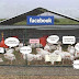 Facebook farm