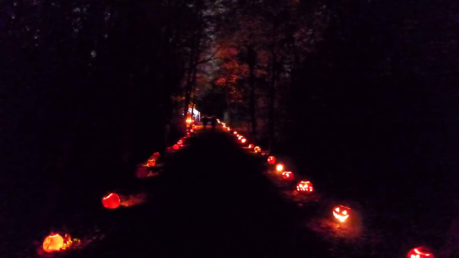 Haunted Eve's Halloween Blog Canandaigua Pumpkin Walk 2018