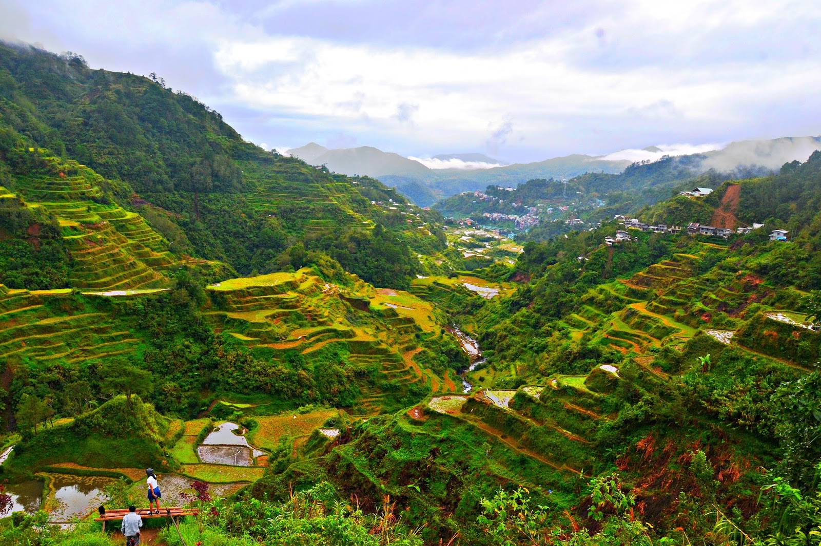 Banaue Rice Terraces - Nehru Memorial