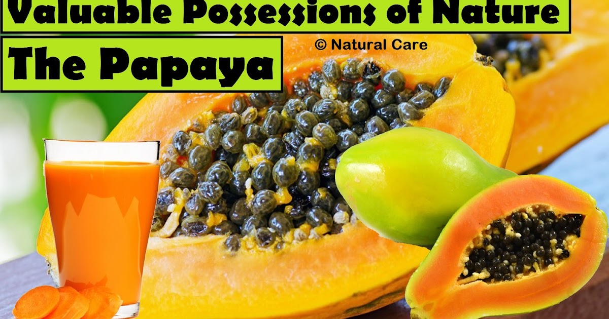 Valuable Possessions of Nature The Papaya Education and Information