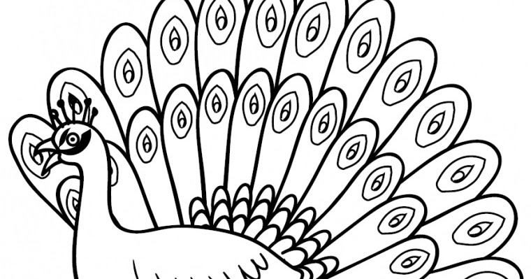 gambar binatang burung merak mewarnai