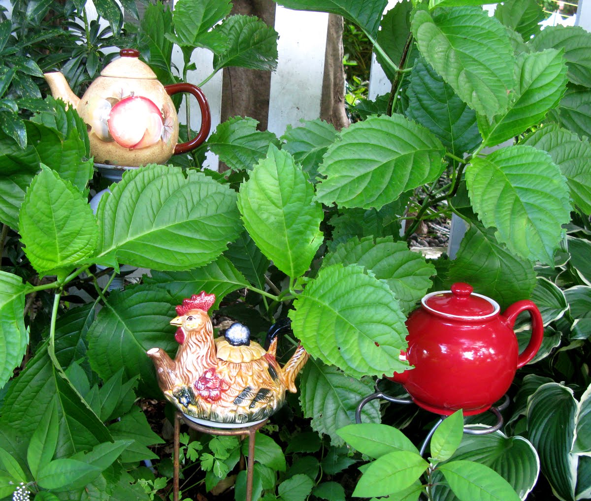 Growing Edibles in Vancouver, British Columbia Vegetables in the Front Yard Garden Ornaments