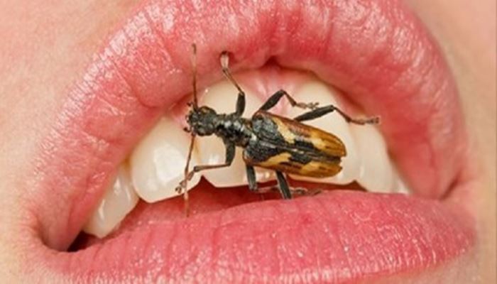 Helminths na pessoa um oxiúro