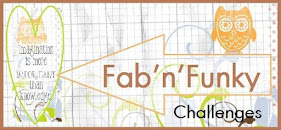 Fab `n`Funky Challenges
