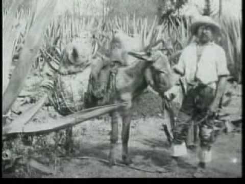 DEL PORFIRIATO A LA CONSTITUCION DE 1917: ¿CUALES FUERON LAS CAUSAS QUE ...