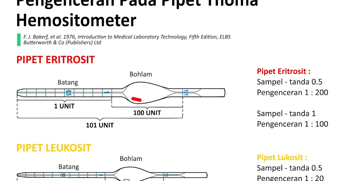 Belajar Pengenceran Pipet Thoma Hemocytometer — Online Text Book ATLM