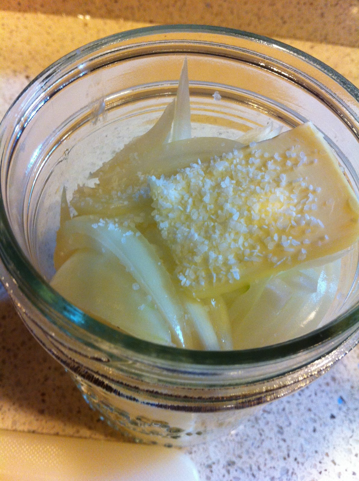 Fresh Start Cooking Caramelized Onions Sous Vide hack