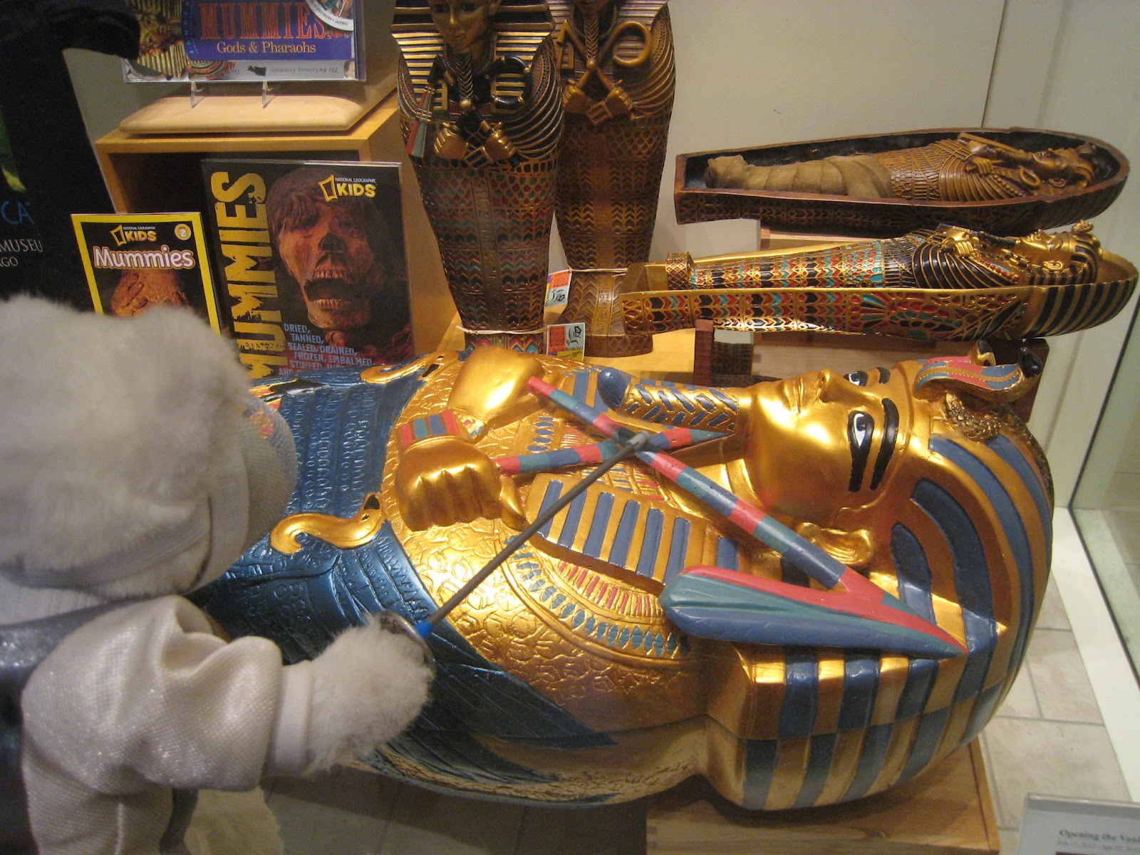 The Secrets of the Field Museum Mummies Revealed