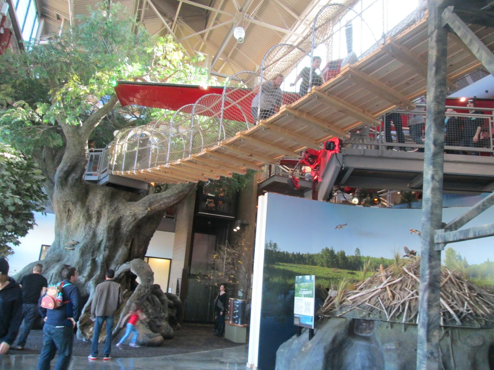 DNR Outdoor Adventure Center ⋆ Metro Detroit Mommy