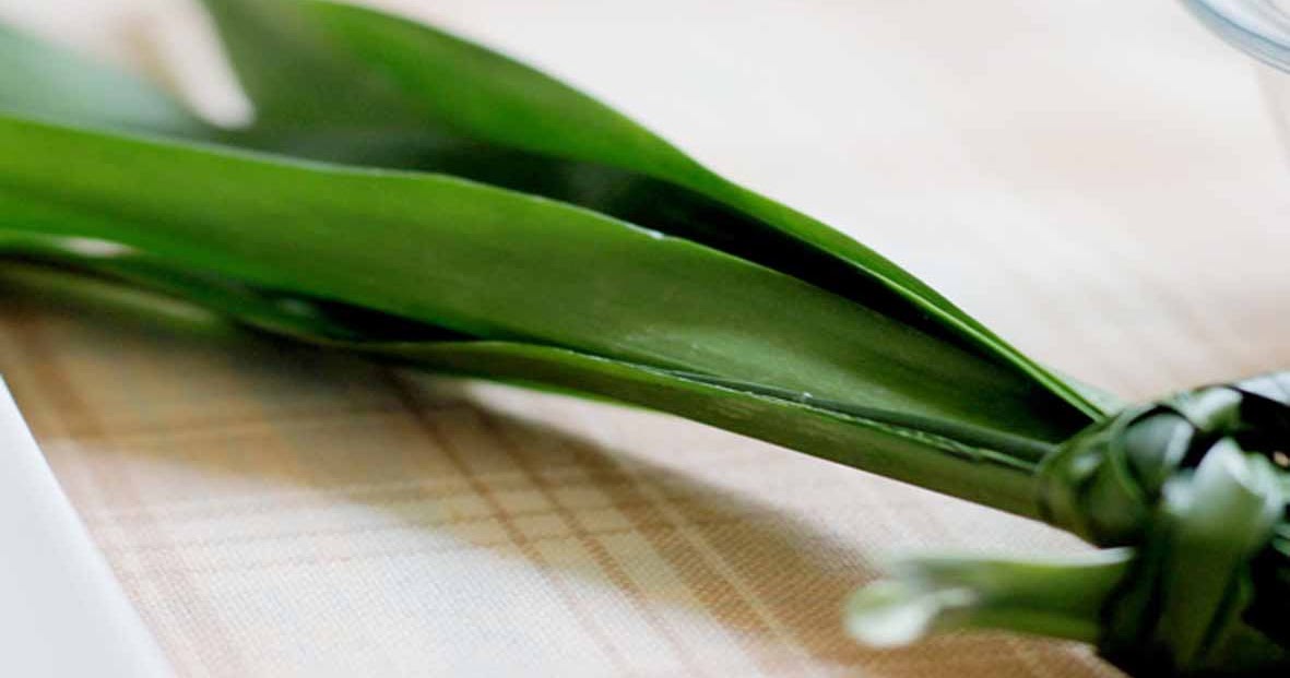 Fragrant Pandan Leaves Benefits For Health RepFire1