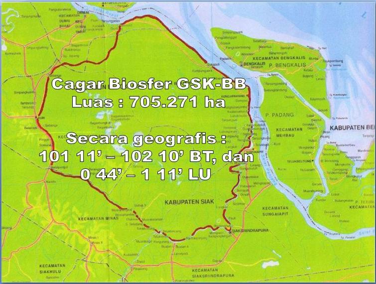 Peta ~ Cagar Biosfer Giam Siak Kecil - Bukit Batu