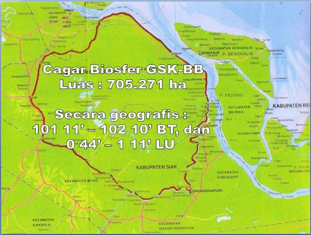 Peta ~ Cagar Biosfer Giam Siak Kecil - Bukit Batu