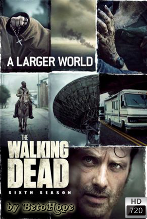 The Walking Dead Temporada 6  [2016] [720p] [Latino-Ingles] HD 1080P [Google Drive] GloboTV