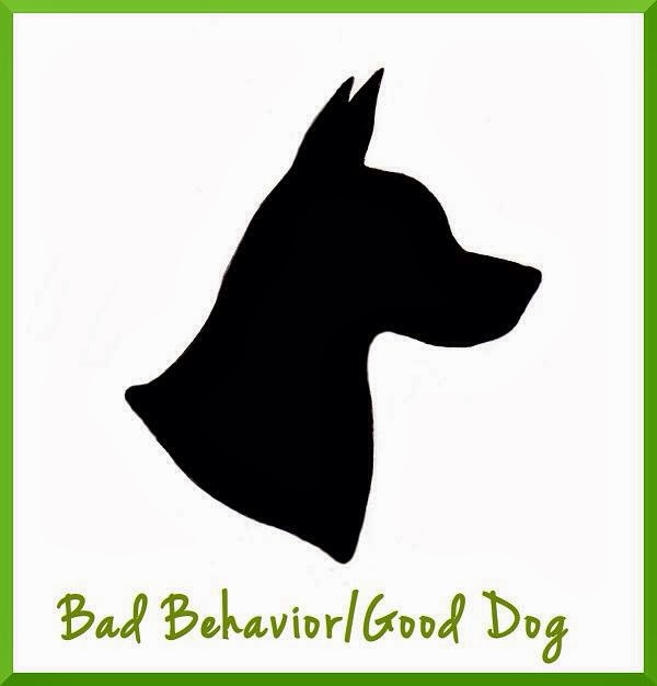 Bad Behavior/Good Dog