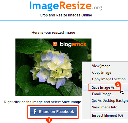 Cara Memperkecil Gambar secara Online di Situs ImageResize