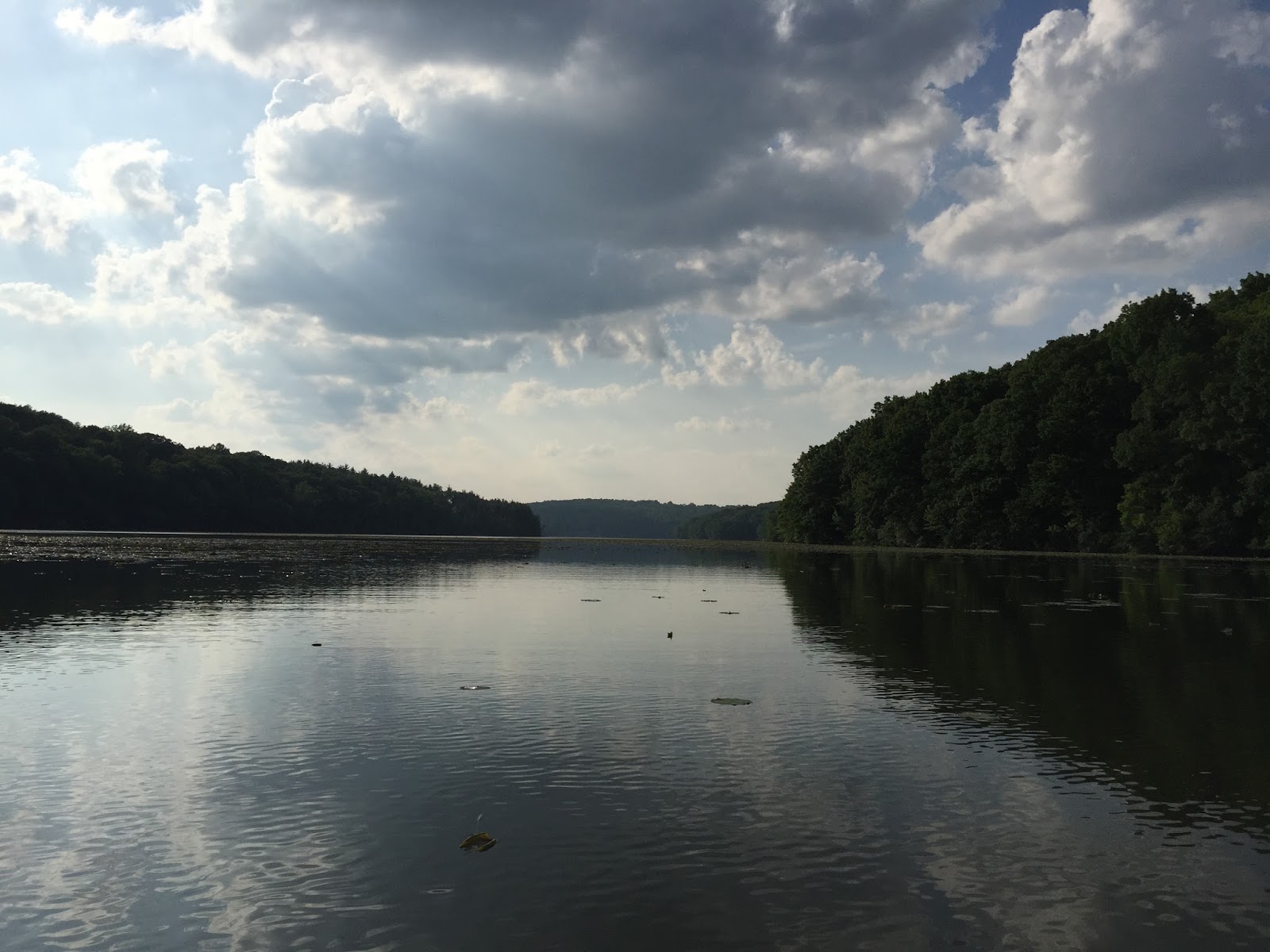 Kayaking Across Ohio Piedmont Lake Feels Like You Are Miles From
