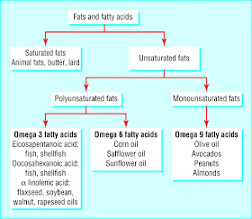 Fatty acids diagram