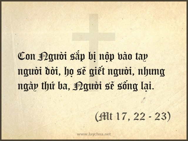 Họ sẽ giết Người, nhưng Người sẽ sống lại. Con cái thì được miễn thuế