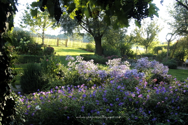 Ein Schweizer Garten Prenons Le Temps