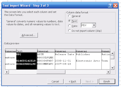 Excel Text Import Wizard3