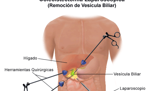 Una aproximación al lenguaje médico