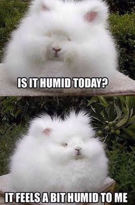 How to care for Black hair