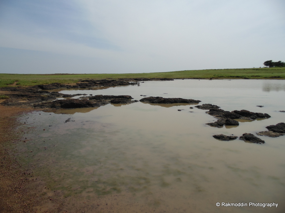 Kas Pathar Flowers valley in Maharashtra Journey & Life.