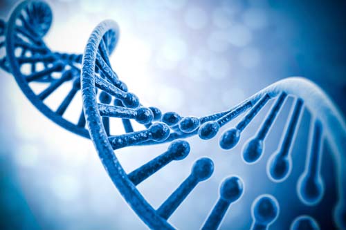 18 Contoh Manfaat Dan Bahaya Biologi Bagi Kehidupan Manusia Dan Lingkungan Biologijk