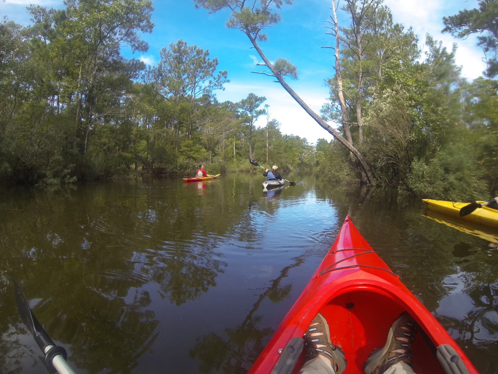 American Travel Journal Kayaking in Kitty Hawk Woods Coastal Reserve