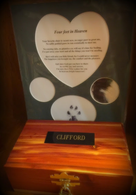 Ashes of our kitty, Clifford.