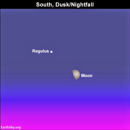 Mặt Trăng gần sao Regulus, trái tim của Sư Tử - 1 / Thiên văn học Đà Nẵng