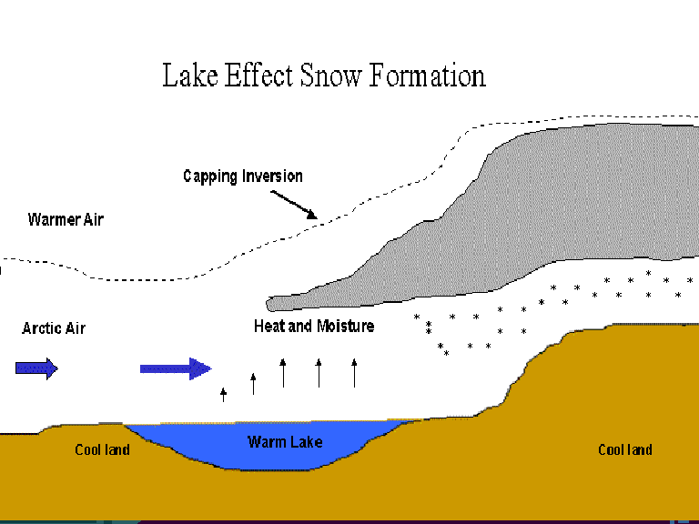 Observing Snow