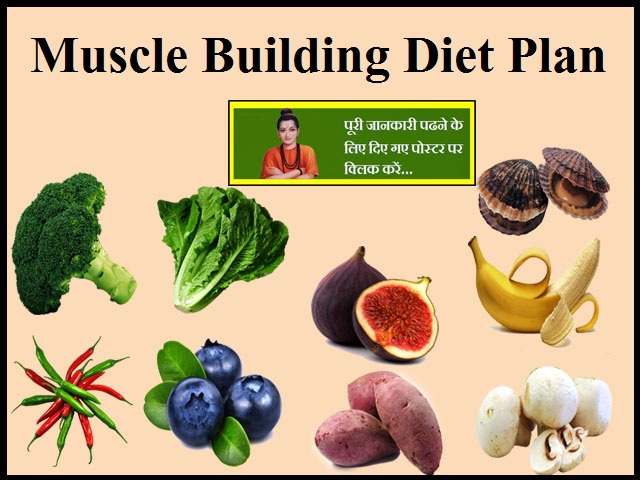 Muscle Building Diet Plan