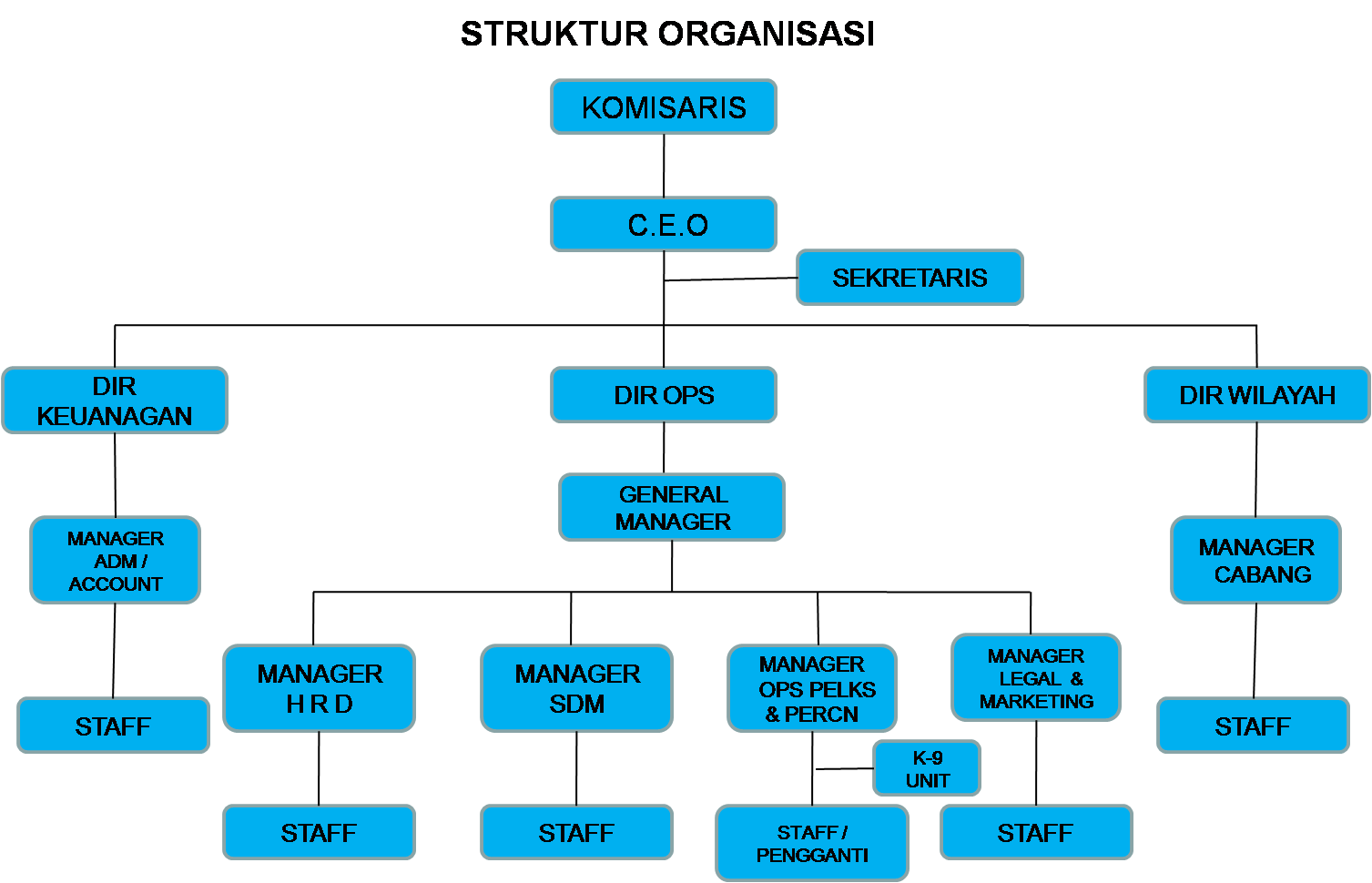 Struktur Organisasi Perusahaan Homecare