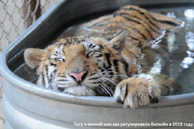 Тигр в ванной или как регулировали биткойн в 2018 году